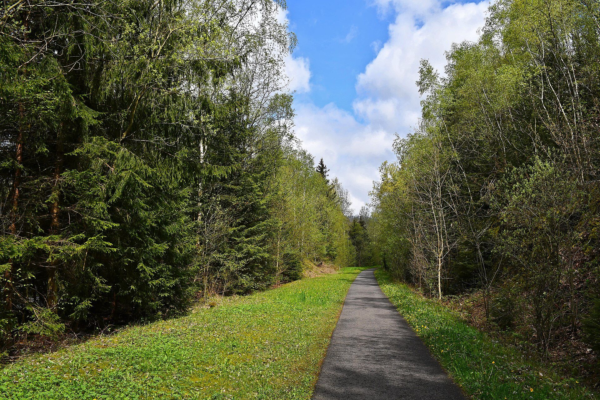 5 makkelijke fietsroutes in de Harz voor beginners