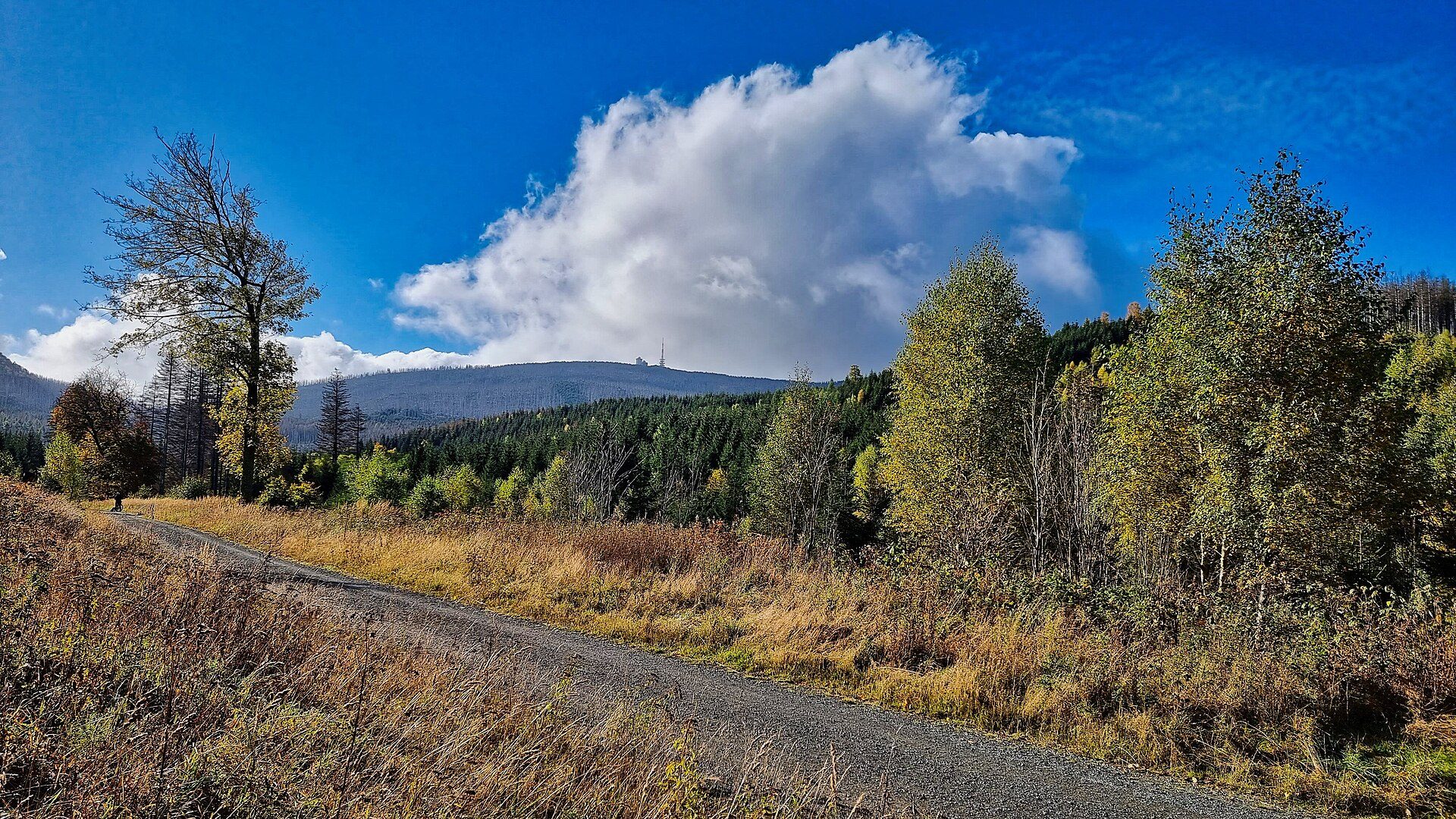 Herfstwandelen in de Harz: mooiste routes in september