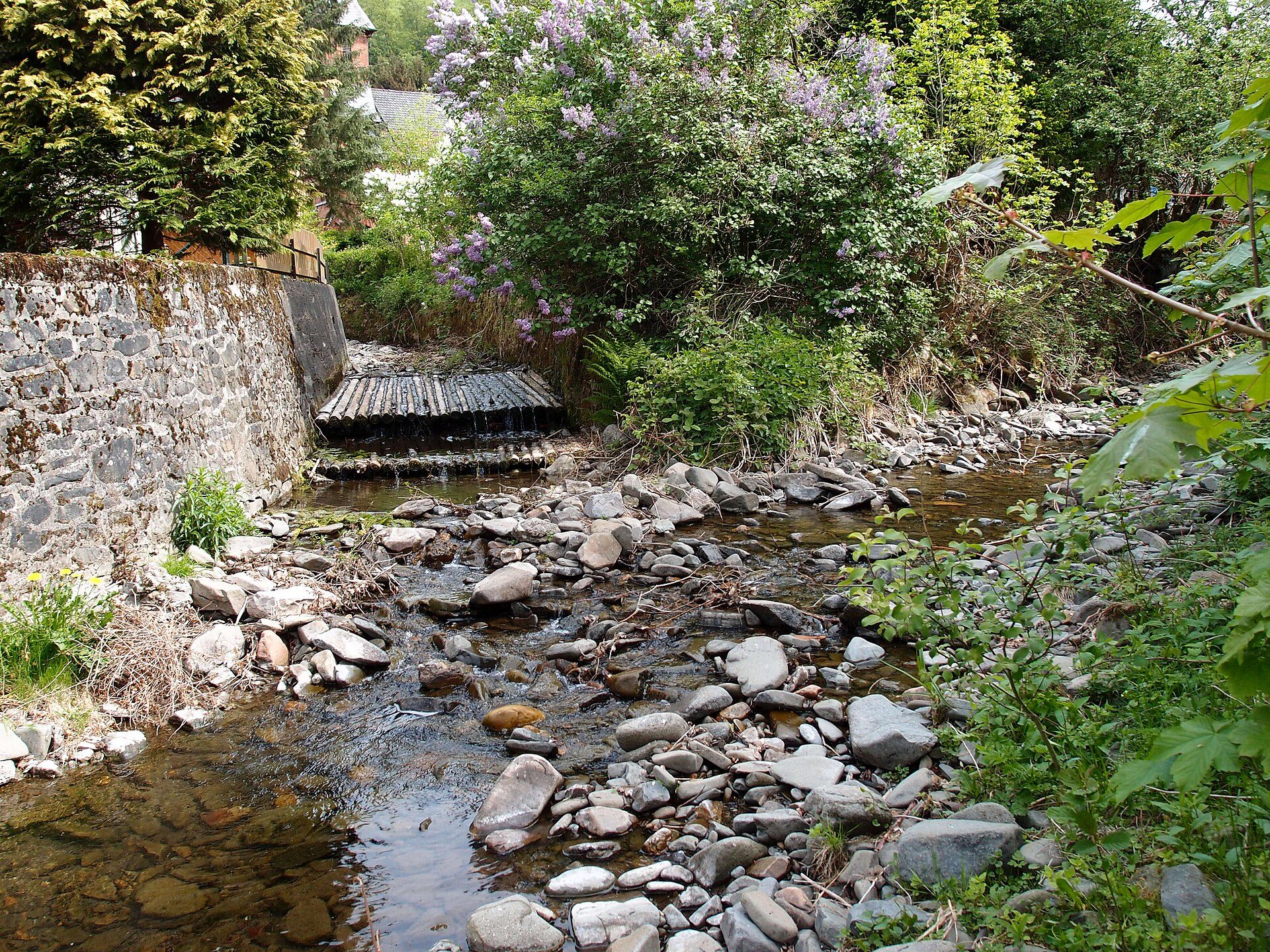Campingplatz Lonau: kleine camping naast het bosbad