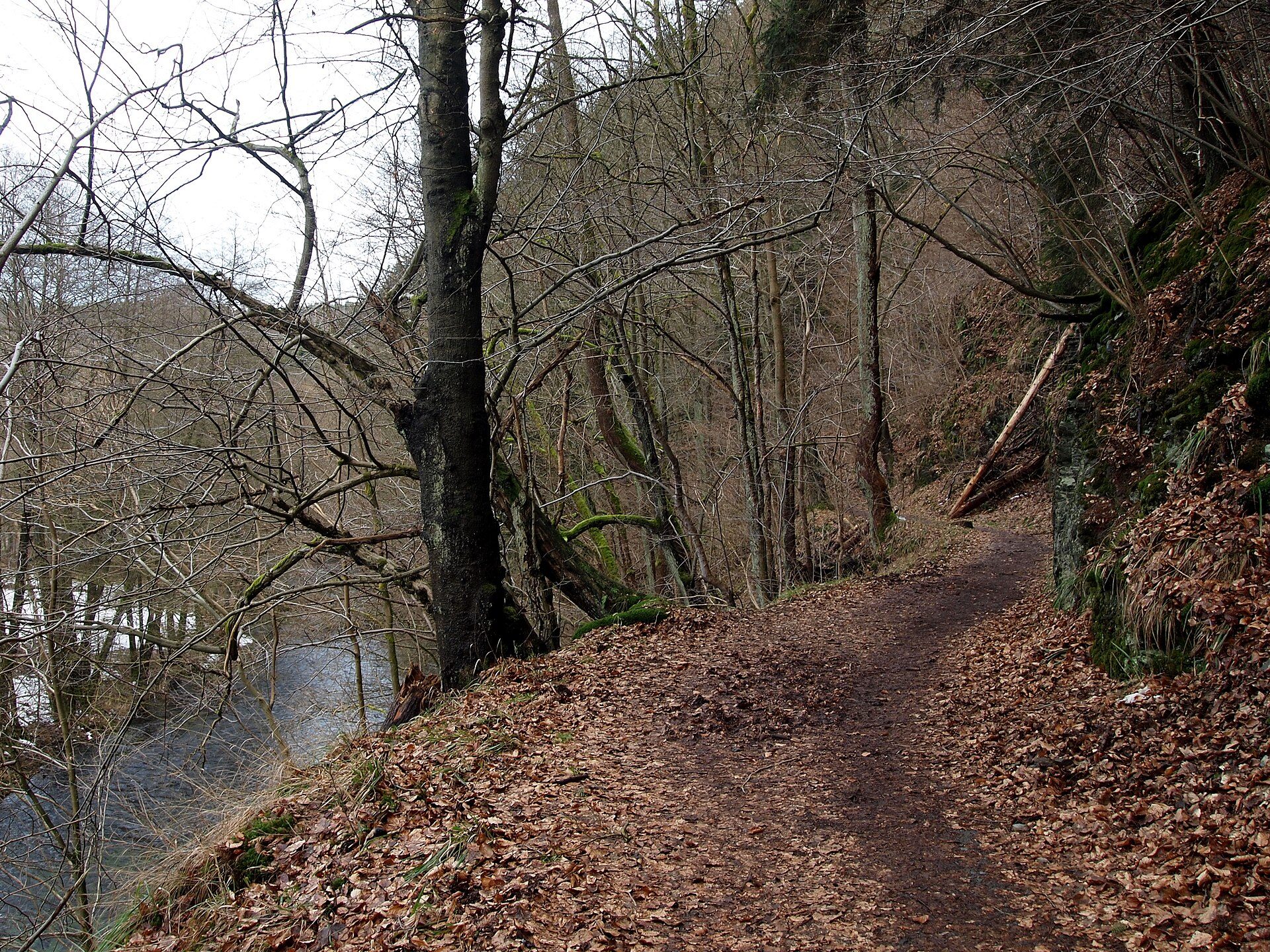 Wandelen